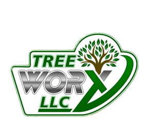 Glen Burnie Tree Removal Service